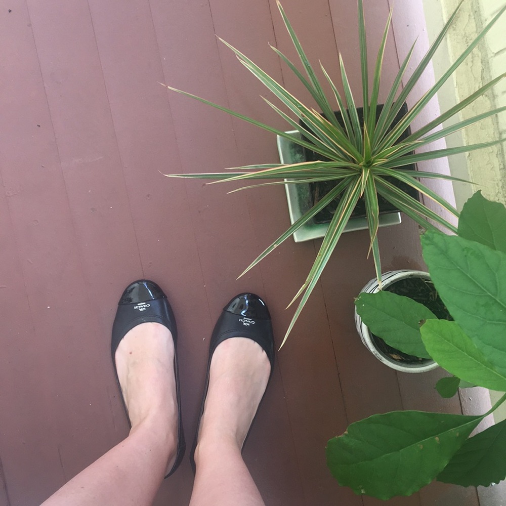 Coach flats